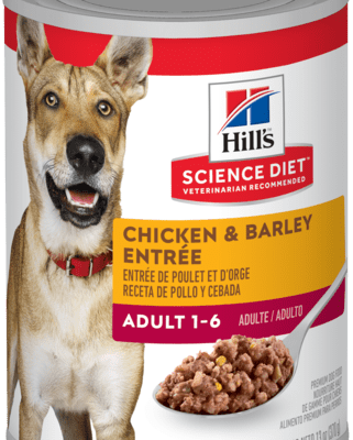 HILL'S SD CANINE ADULT CH. 370 GR