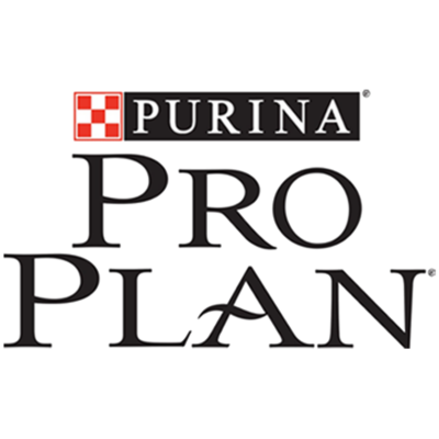 Pro Plan