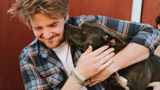 ¿Por qué tu perro se emociona cuando llegas a casa? 5 ¿Por qué tu perro se emociona cuando llegas a casa? 4 MiPet.pe