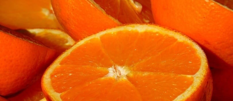 Los perros y las frutas. 2 Los perros y las frutas. 1 MiPet.pe