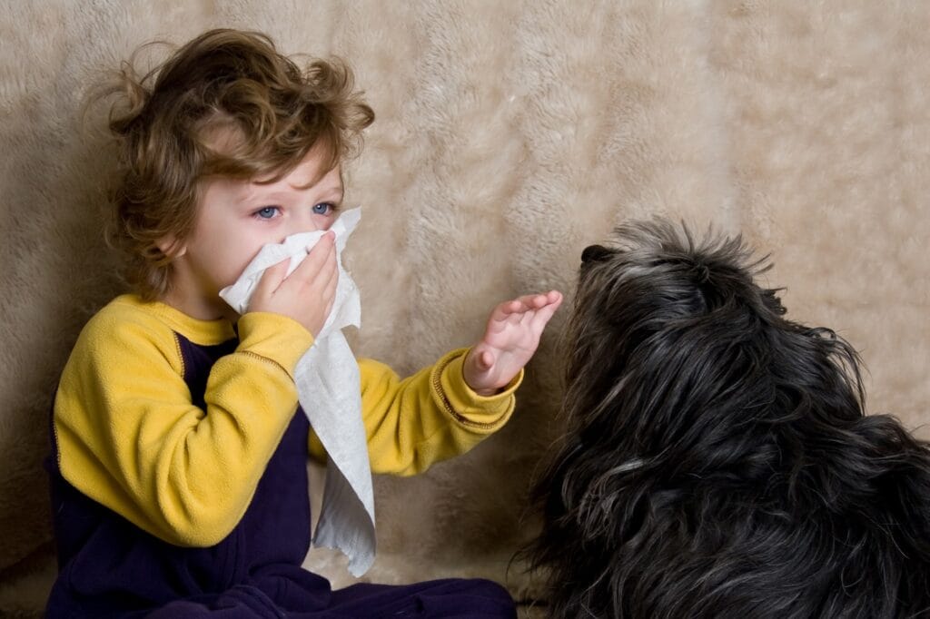 Alergia al Perro 3 MiPet.pe