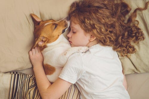 Dormir con su mascota: ¿es seguro? 🤔 1 Dormir con su mascota: ¿es seguro? 🤔 MiPet.pe