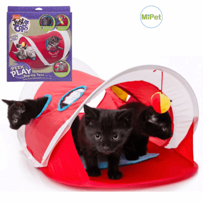 Centro de actividades para gatos - HARTZ