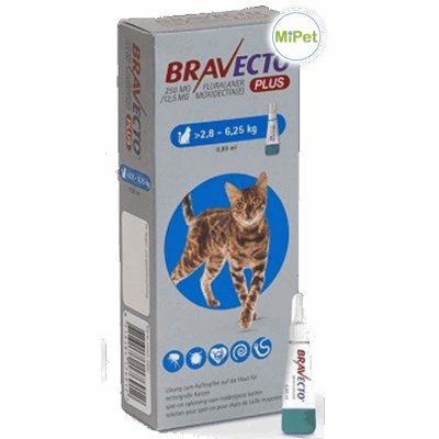 b. BRAVECTO PLUS – Gatos de 2.8 a 6.25 kg – 250 mg - B7