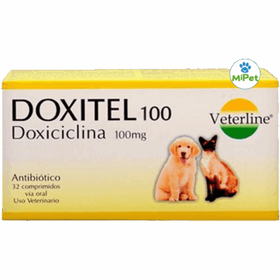 DOXITEL 100 - Doxiciclina 100 mg - 32 comprimidos