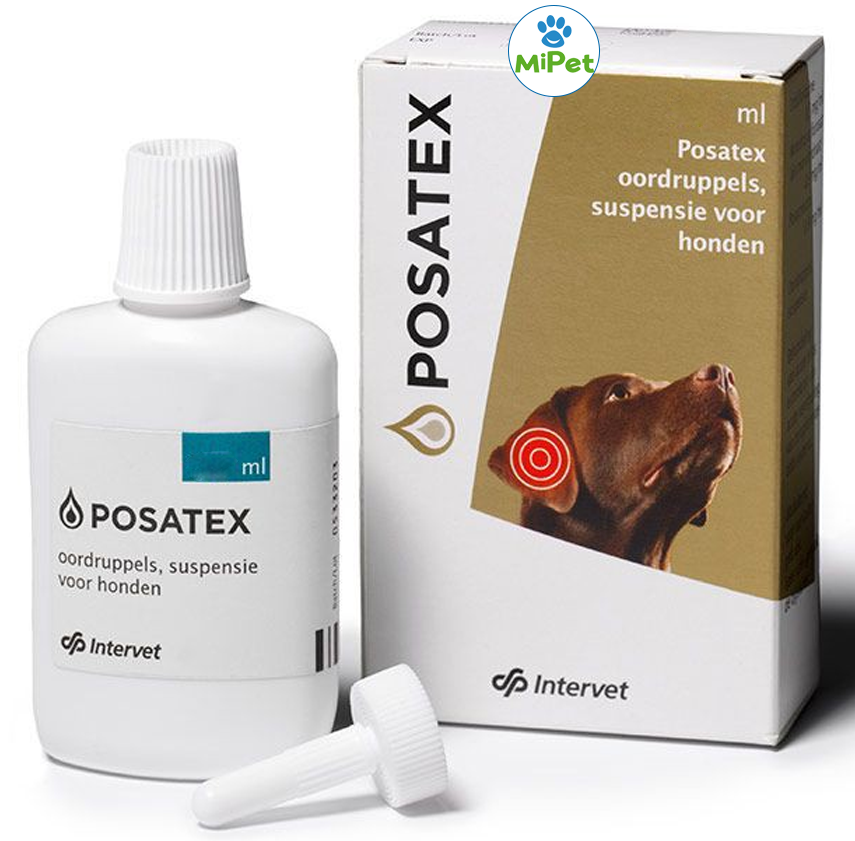 Posatex Otic Suspension, 15 Gm ubicaciondepersonas.cdmx.gob.mx