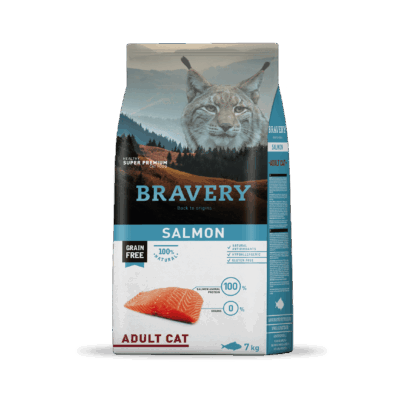 C2. Bravery Salmon Adult Cat 02 kg - BRSC02