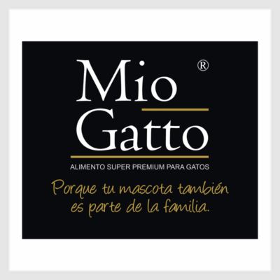 Mio Gatto